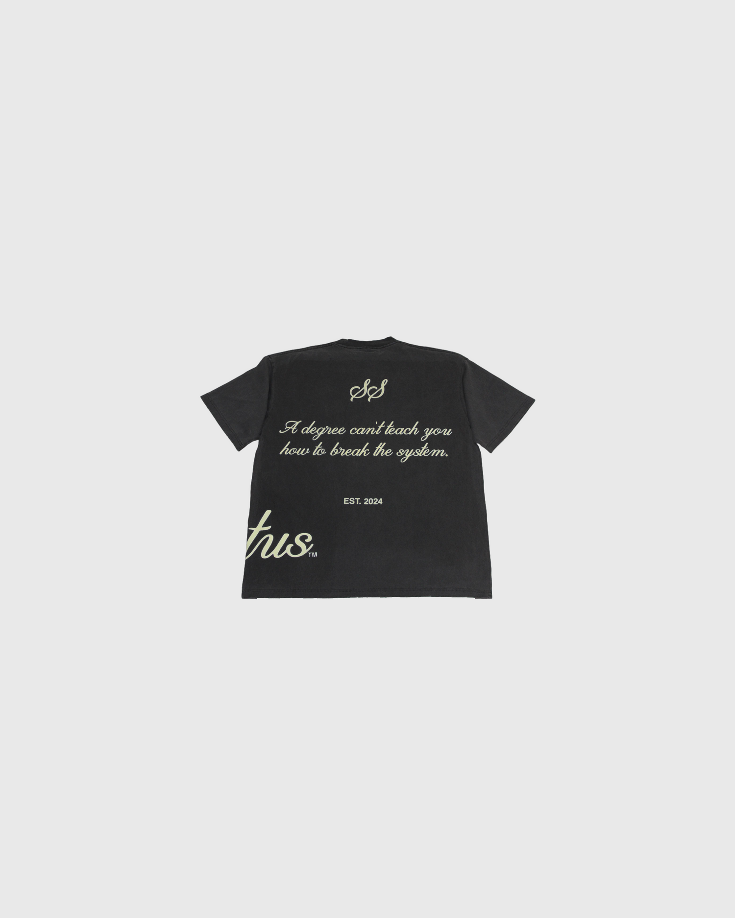 BREAK THE SYSTEM TEE